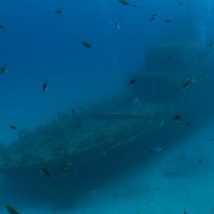 Malta Adası Sualtı Zenginlikleri
