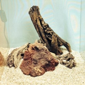 Hardscape