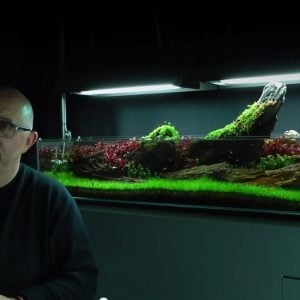 James Findley Crimson Sky Röportajı