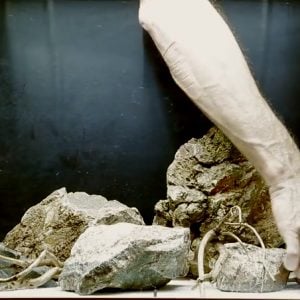 Hardscape Hazırlanışı