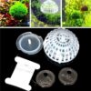 Yüzen Moss Saksısı Yarım Küre Şeklinde