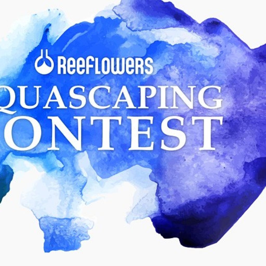 Reeflowers Aquascaping Yarışması