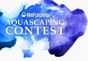 Reeflowers Aquascaping Yarışması