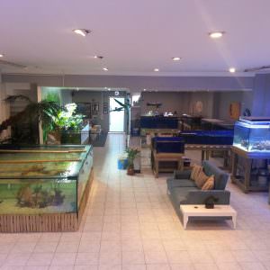 Reeflowers Bitkili Akvaryum Semineri (Canlı Kurulum)