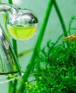 Cam CO2 Göstergesi Vantuzlu