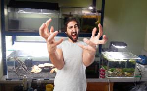 Çoklu Tank Sendromu