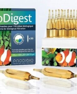 Canlı Bakteri Kültürü - BioDigest PRODIBIO Ampül
