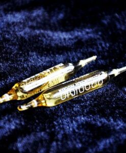 Canlı Bakteri Kültürü - BioDigest PRODIBIO Ampül